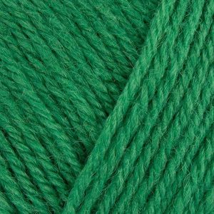 West Yorkshire Spinners Colour Lab DK - Bottle Green (363)