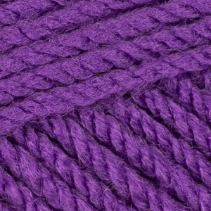 Stylecraft Special Aran - Proper Purple (1855)