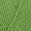 WYS Colour Lab DK - Shamrock Green (1134)
