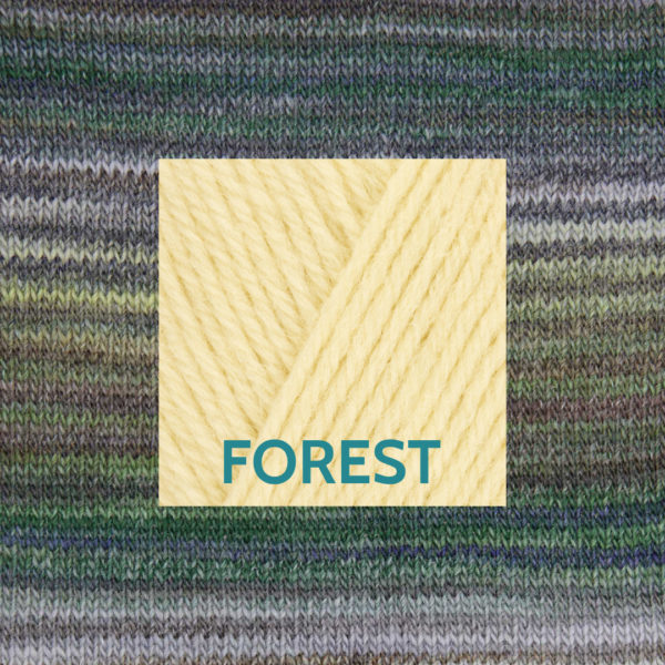 Heart Of The Woods Yarn Pack - Forest