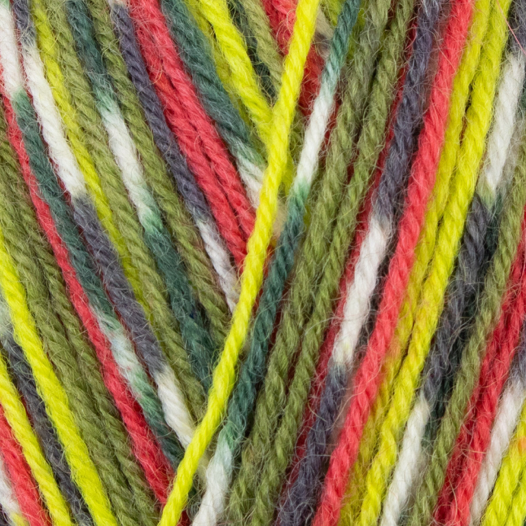 WYS Signature 4 Ply - Country Birds - Green Woodpecker (1170)