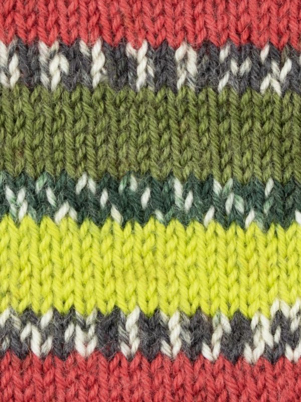 WYS Signature 4 Ply - Country Birds - Green Woodpecker (1170)