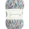 WYS Signature 4 Ply - Country Birds - Jay (1167)