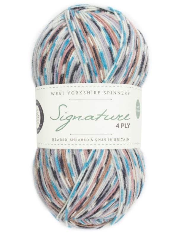 WYS Signature 4 Ply - Country Birds - Jay (1167)