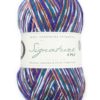 WYS Signature 4 Ply - Country Birds - Starling (1169)