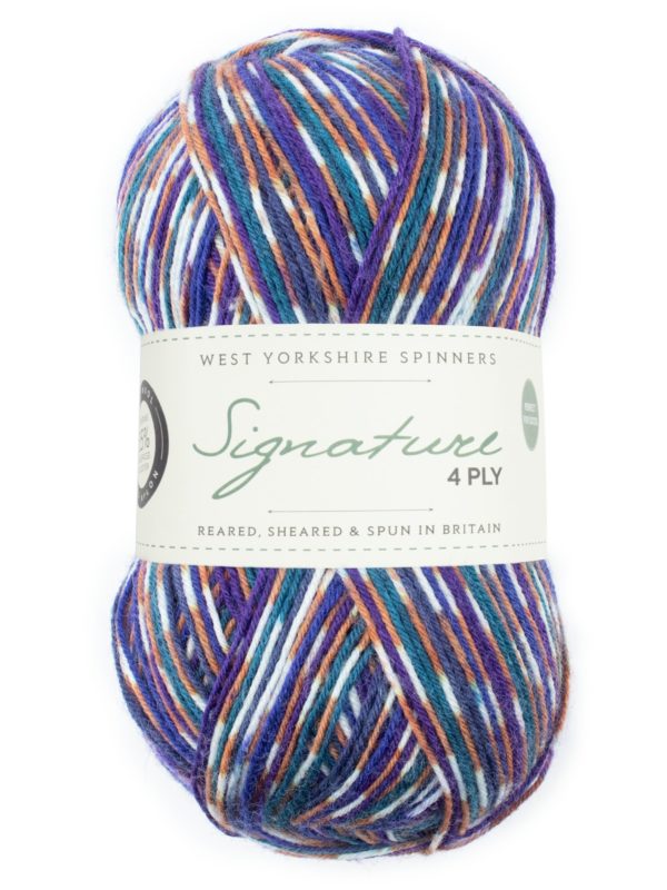 WYS Signature 4 Ply - Country Birds - Starling (1169)