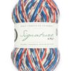 WYS Signature 4 Ply - Country Birds - Swallow (1168)