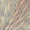 WYS Re:Treat Twist Chunky Roving - Dawn (1218)