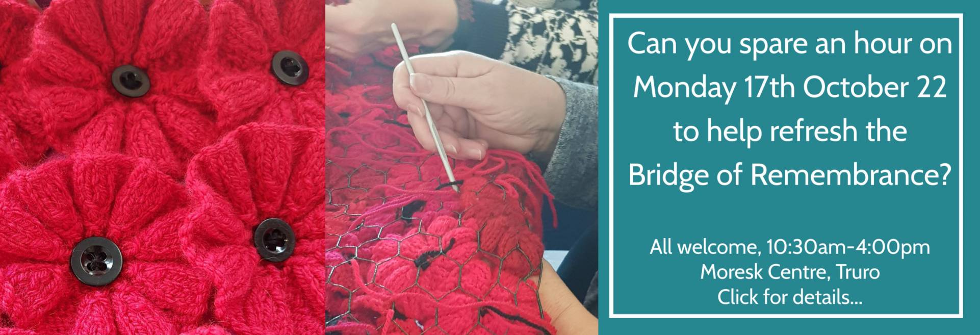 Appeal for help to knit and crochet poppies for Bridge of Remembrance